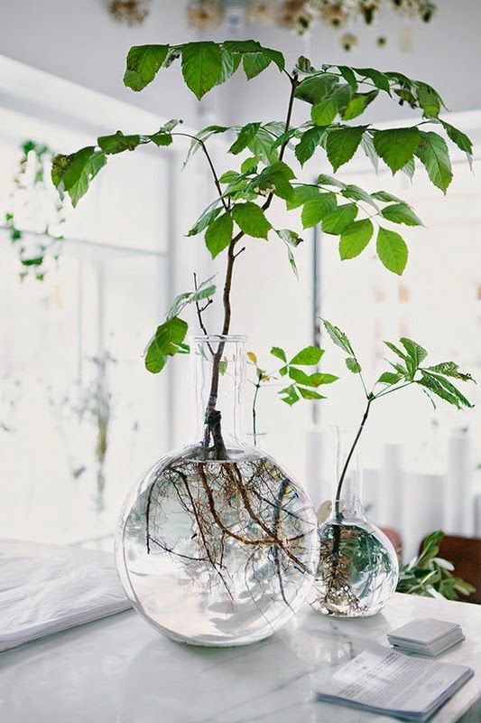 branche d arbre deco astuce d 233 co la magie d une branche d arbre branche d arbre deco astuce d 233 co la magie d une branche d arbre