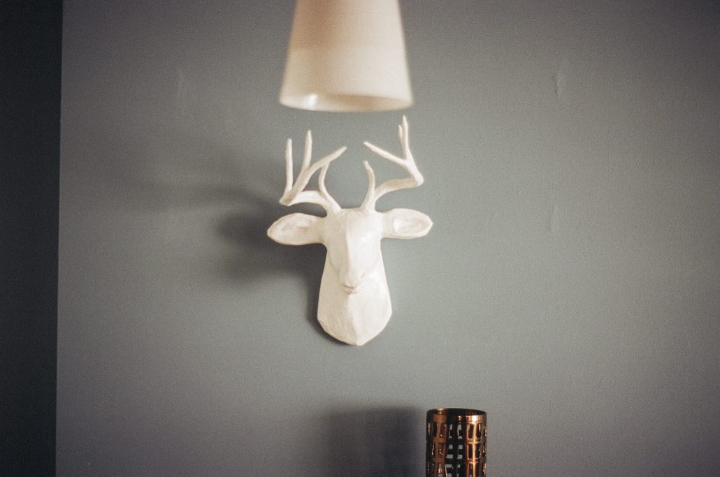 DIY : tête de cerf en carton à faire soi-même : Astuce déco
