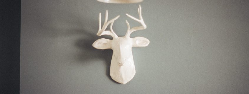 DIY : tête de cerf en carton à faire soi-même : Astuce déco