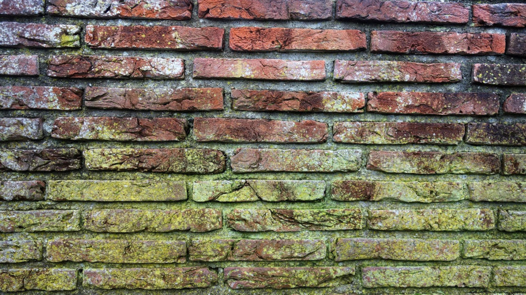 Comment faire pour nettoyer un mur moisi ?